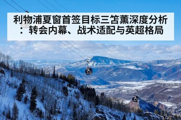 利物浦夏窗首签目标三笘薫深度分析：转会内幕、战术适配与英超格局