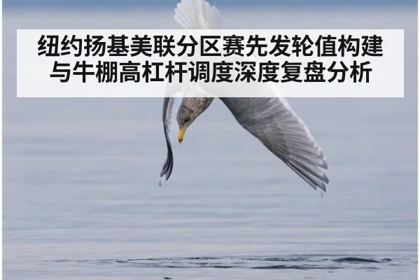 纽约扬基美联分区赛先发轮值构建与牛棚高杠杆调度深度复盘分析 | hth